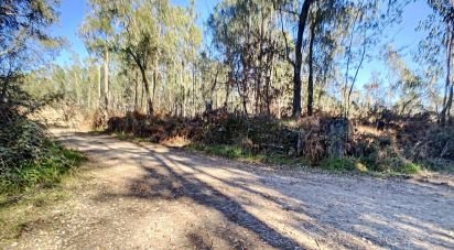 Land in Santa Maria da Feira, Travanca, Sanfins e Espargo of 132,787 m²