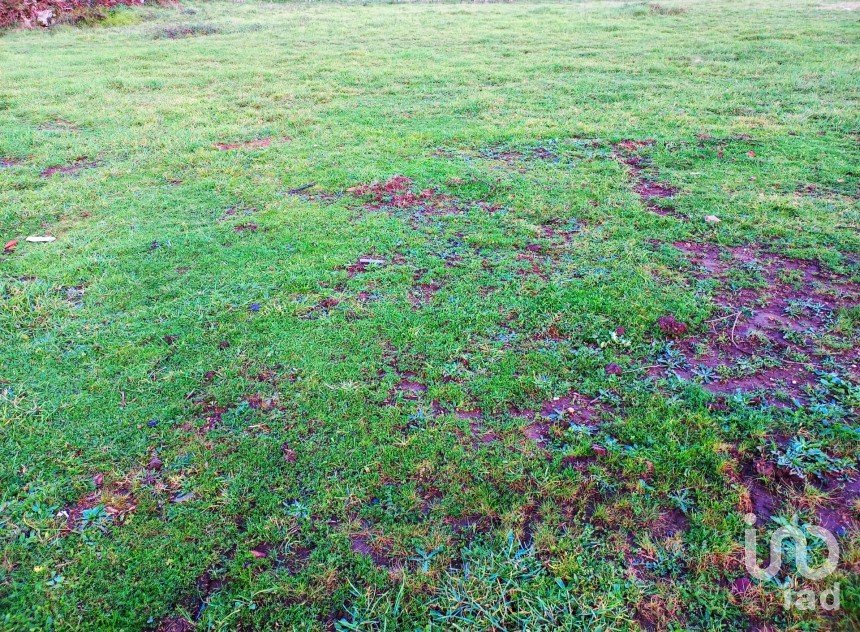 Terreno urbano em Cervães de 2 600 m²
