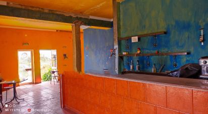 Hotel / Restaurante em Vidigueira de 596 m²