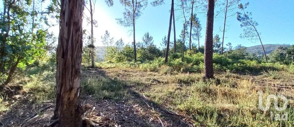 Terreno rústico em Campo E Tamel (São Pedro Fins) de 14 920 m²