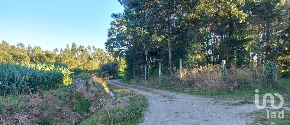 Terreno rústico em Campo E Tamel (São Pedro Fins) de 14 920 m²