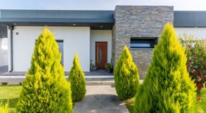 House T3 in Marinhais of 190 m²