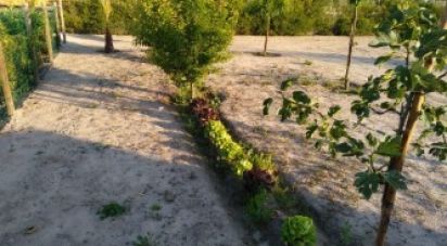 House T3 in Marinhais of 190 m²