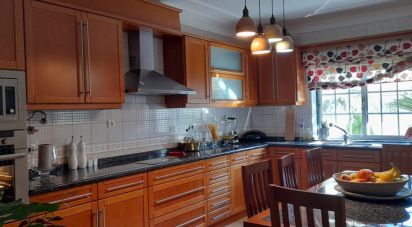 Moradia T6 em Castelo Branco de 281 m²