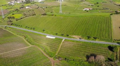 Farm land in Carvoeira e Carmões of 35,000 m²