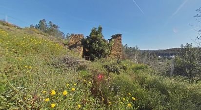 Land in Troviscal of 6,715 m²