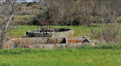 Farm land in Castelo Branco of 53,000 m²