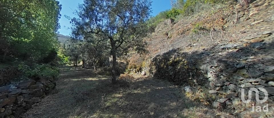 Land in Álvaro of 9,978 m²