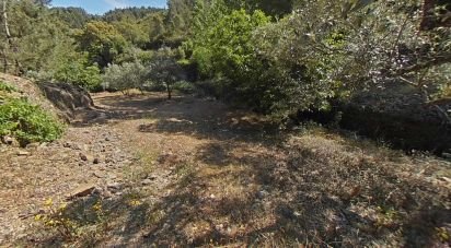 Land in Álvaro of 9,978 m²