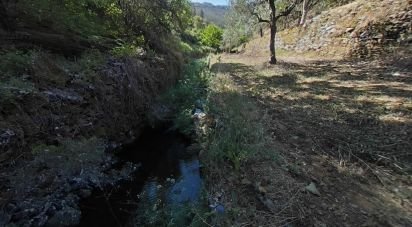 Land in Álvaro of 9,978 m²