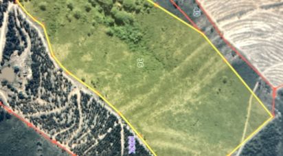 Casa de Campo T3 em São Teotónio de 150 m²