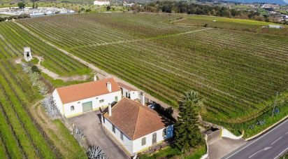 Farm T4 in Carvoeira e Carmões of 249 m²