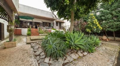 Moradia T4 em Mira de Aire de 206 m²