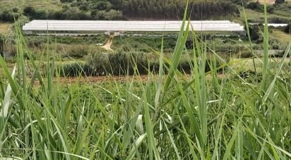 Farm land in A dos Cunhados e Maceira of 29,110 m²
