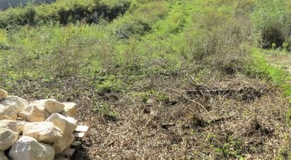 Terrain à Malveira e São Miguel de Alcainça de 917 m²