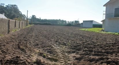 Terrain à Esposende, Marinhas e Gandra de 2 686 m²