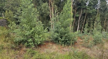 Terreno em Gaula de 4 380 m²