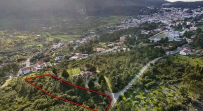 Terreno em Mira de Aire de 2 880 m²