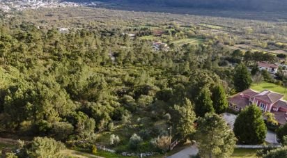 Terreno em Mira de Aire de 2 880 m²