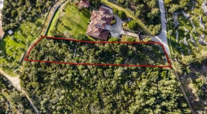 Terreno em Mira de Aire de 2 880 m²