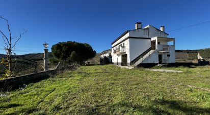 Quinta T7 em Freixo de Numão de 1 116 m²