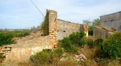 Terreno em Santa Bárbara de Nexe de 19 040 m²