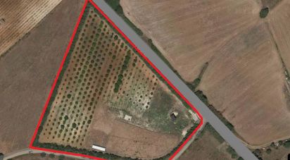 Terrain à Aveiras de Baixo de 16 320 m²