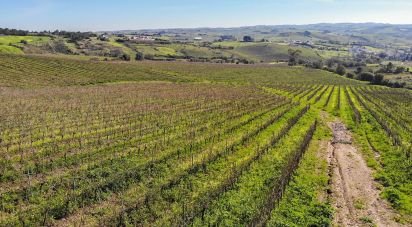 Farm land in Carvoeira e Carmões of 81,070 m²
