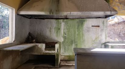 Gîte T3 à Forjães de 530 m²