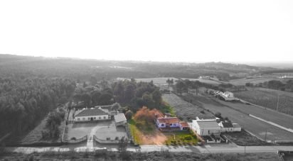 Gîte T3 à Caldas da Rainha - Nossa Senhora do Pópulo, Coto e São Gregório de 155 m²