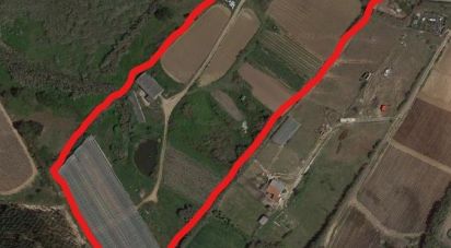 Farm land in A dos Cunhados e Maceira of 29,110 m²