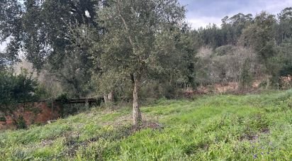 Terreno urbano em Recardães e Espinhel de 2 150 m²