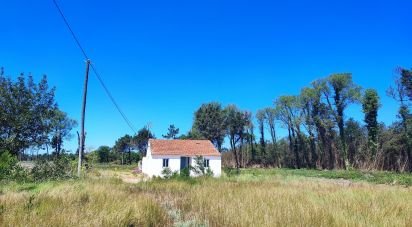 House T2 in Torreira of 136 m²