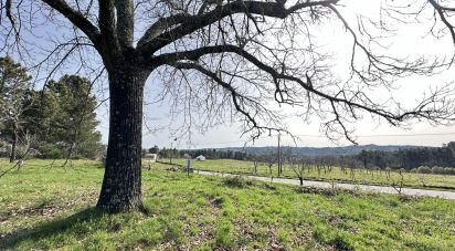 Terreno em Torre do Terrenho, Sebadelhe da Serra e Terrenho de 21 741 m²