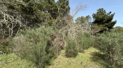 Terreno em Torre do Terrenho, Sebadelhe da Serra e Terrenho de 21 741 m²