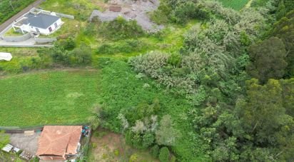 Terreno em São Jorge de 1 310 m²