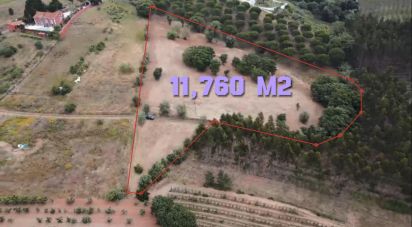 Terrain à Peral de 11 760 m²