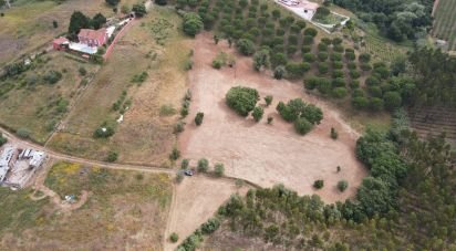 Terrain à Peral de 11 760 m²