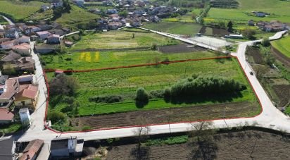 Terreno em Veiga de Lila de 8 990 m²