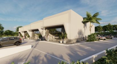 Shop / premises commercial in Almancil of 300 m²
