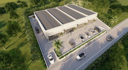 Shop / premises commercial in Almancil of 300 m²