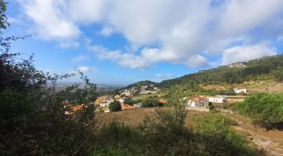 Terreno urbano em Lamas e Cercal de 7 040 m²