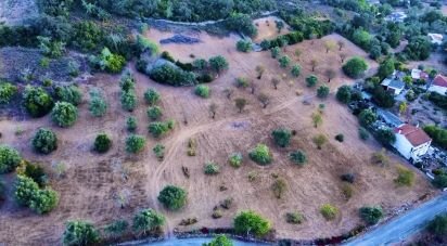 Terreno rústico em Santa Bárbara de Nexe de 14 400 m²