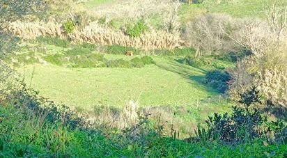 Terreno em Arruda dos Vinhos de 6 080 m²