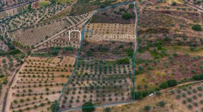 Terreno em Poço do Canto de 11 872 m²