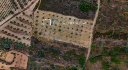 Terreno em Poço do Canto de 11 872 m²