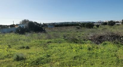 Terreno em Faro (Sé e São Pedro) de 10 440 m²