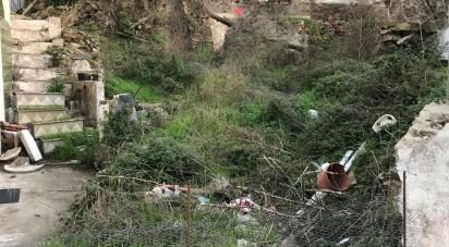 Moradia T2 em Peso da Régua e Godim de 345 m²