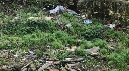 Moradia T2 em Peso da Régua e Godim de 345 m²
