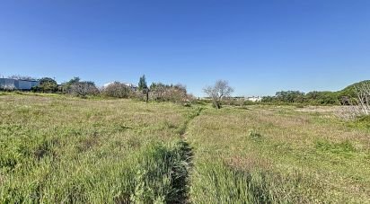 Terreno urbano em Montenegro de 1 120 m²